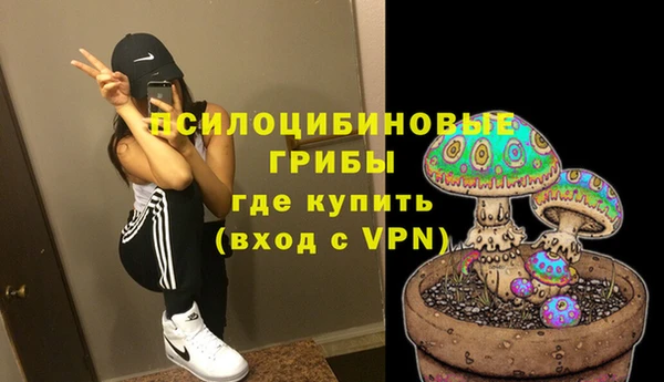 ПСИЛОЦИБИНОВЫЕ ГРИБЫ Наволоки