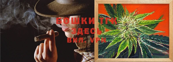 гашик Михайловка